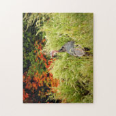 Die wilde Türkei im Herbst im großen Gras Puzzle (Vertikal)