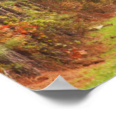 Die wilde Türkei ist im Rampen Poster (Ecke)