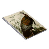 Die wilde Türkei Notizblock (Rechte Seite)