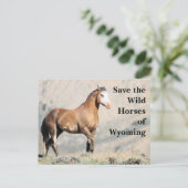 Die wilden Pferde der Wyoming-Postkarte gerettet Postkarte (Stehend Vorderseite)