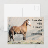Die wilden Pferde der Wyoming-Postkarte gerettet Postkarte (Vorne/Hinten)