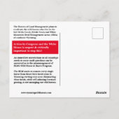 Die wilden Pferde der Wyoming-Postkarte gerettet Postkarte (Rückseite)