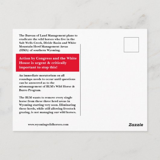 Die wilden Pferde der Wyoming-Postkarte gerettet Postkarte (Rückseite)