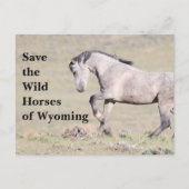 Die wilden Pferde der Wyoming-Postkarte gerettet Postkarte (Vorderseite)
