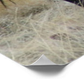 Die wilden poster (Ecke)