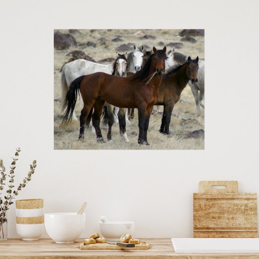 Die wilden poster (Küche)