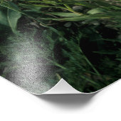 DIE WILDERNISSE VON TIMPANOGOS, FOTODRUCK (Ecke)