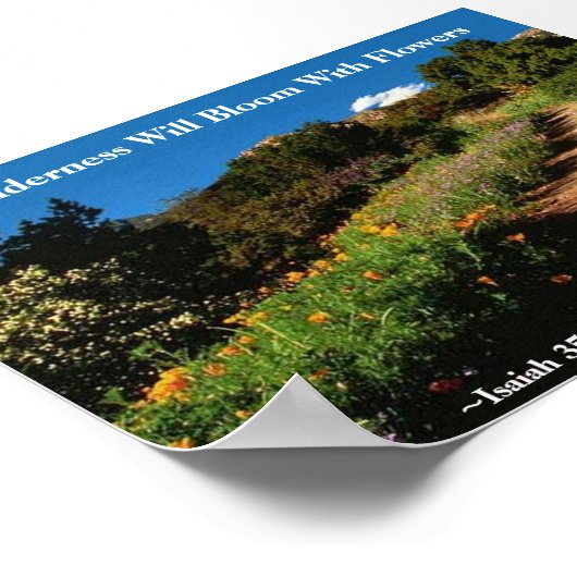 Die Wildnis wird Isaiah 35:1 blühen Poster (Ecke)