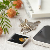 Die Wilkinson-Mikrowelle-Anisotropie-Probe Schlüsselanhänger (Seite)