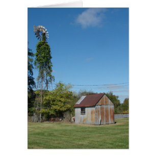 Die Windmühle und das Shed