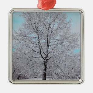 Die Winter-Eichen-Verzierung Silbernes Ornament