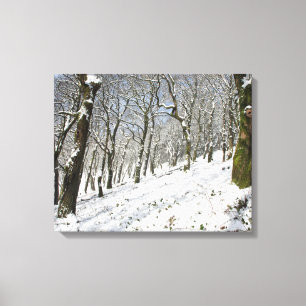 Die Winterkarte Macclesfield Forest Leinwanddruck