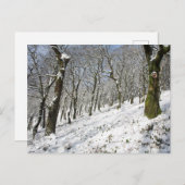 Die Winterkarte Macclesfield Forest Postkarte (Vorne/Hinten)