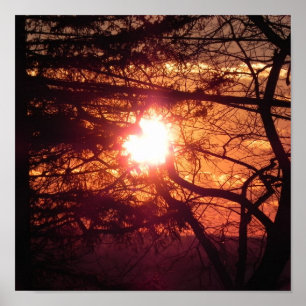 Die Wintersonne Poster