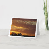 Die Wires im Himmel Karte (Vorderseite)