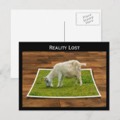 Die Wirklichkeit hat Ziegenweide auf Papiergras Po Postkarte (Vorne/Hinten)