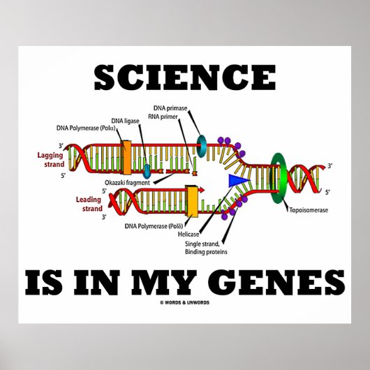 Die Wissenschaft steckt in meinen Genen (DNA-Repli Poster (Vorne)