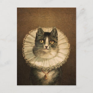 Die Witwe (1861–1897), vintage Katzenporträt  Postkarte