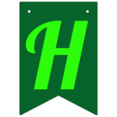 DIE WIZARD VON OZ WIMPELKETTE (Zweite Fahne)