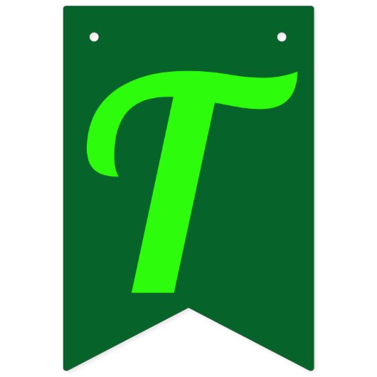 DIE WIZARD VON OZ WIMPELKETTE (Erste Fahne)