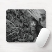 Die Wohnung eines Wanderers Mousepad (Mit Mouse)