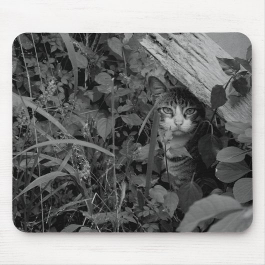 Die Wohnung eines Wanderers Mousepad (Vorne)