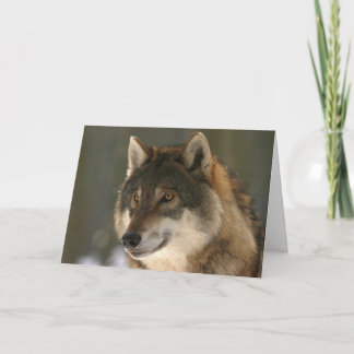 Die Wolf-Valentinsgruß-Karte Feiertagskarte