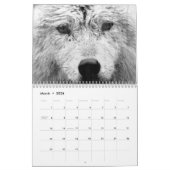 Die Wölfe Kanadas (Kalender) Kalender (Mär 2026)