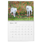 Die Wölfe Kanadas (Kalender) Kalender (Feb 2027)