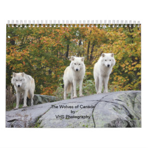 Die Wölfe von Kanada (Kalender) Kalender