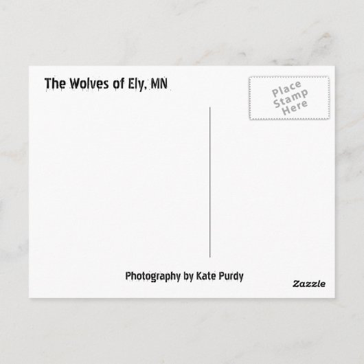Die Wölfe von Minnesota! Postkarte (Rückseite)