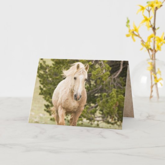 Die Wolke steigt auf die Grusskarte des Wilden Pfe Karte (Gelbe Blume)