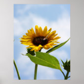 Die Wolken Poster (Vorne)