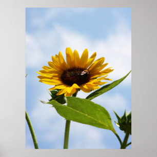 Die Wolken Poster