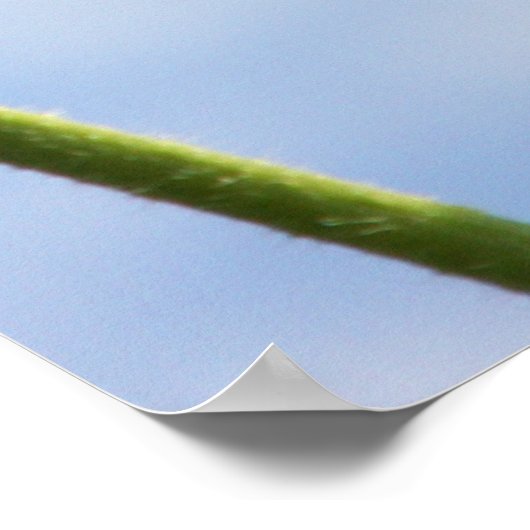 Die Wolken Poster (Ecke)