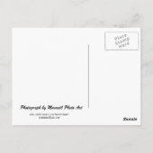 Die Wrigley Gebäude II Postkarte (Rückseite)