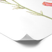 Die Wunder der Mutter Natur Poster (Ecke)