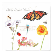 Die Wunder der Mutter Natur