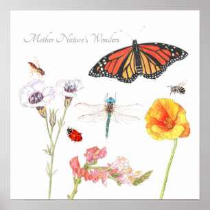 Die Wunder der Mutter Natur Poster