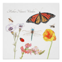 Die Wunder der Mutter Natur