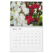 Die Wunder der Natur Kalender (Feb 2027)