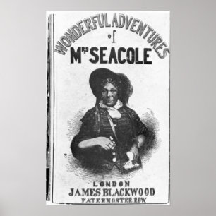 Die wunderbaren Abenteuer von Frau Seacole' Poster