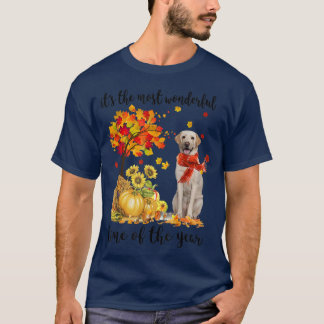 Die wunderbarste Herbstzeit Labrador Pumpki T-Shirt