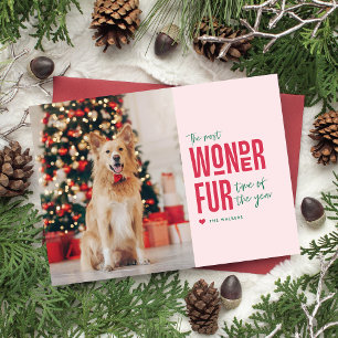 Die wunderbarste Weihnachtszeit-Haustier-Feiertags Feiertagskarte