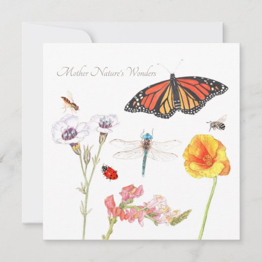 Die Wunderkarte der Mutter Natur (Vorderseite)