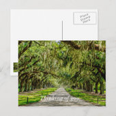 Die wunderschöne Allee, an der Sie denken Postkarte (Vorne/Hinten)