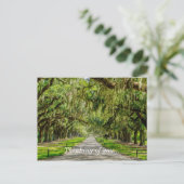 Die wunderschöne Allee, an der Sie denken Postkarte (Stehend Vorderseite)