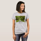 Die wunderschöne Allee des T - Shirt Oaks (Vorne ganz)
