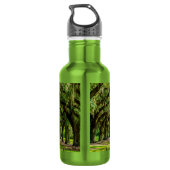 Die wunderschöne Allee mit ihren Eichen und dem Wa Edelstahlflasche (Rückseite)