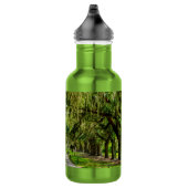 Die wunderschöne Allee mit ihren Eichen und dem Wa Edelstahlflasche (Rechts)